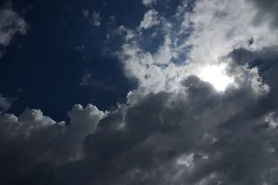 DSC_2962 (Large).JPG